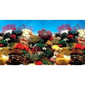 Фон морской Hailea с красными кораллами BRC20