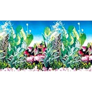 Фон пресноводный Hailea с растениями голубой BG24