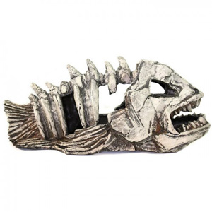 Грот «Декси» - Скелет рыбы №904 44х20х17