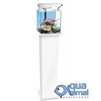 Подставка под Shrimp Set/NANO REEF 30л белая