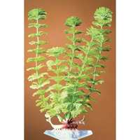 Растение пластиковое перламутровое Амбулия-зеленая 17,5 см