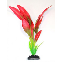 Шелковое растение Эхинодорус Амазонка красно-зеленый, 22 см