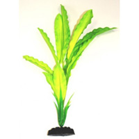 Шелковое растение Эхинодорус Амазонка зеленый, 22 см