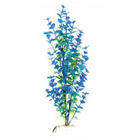 Бакопа синяя Barbus 026 (20 см.)