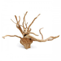 DRIFTWOOD L