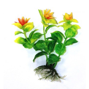 Кардамин зеленый с цветочками, 10 см