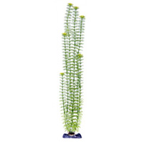 Растение пластиковое Амбулия с утяжелителем 15,24 см