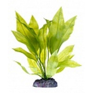 Растение пластиковое Эхинодорус с утяжелителем P32ZMH