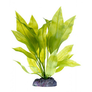 Растение пластиковое Эхинодорус с утяжелителем P32ZSUH
