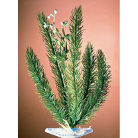 Растение пластиковое Маяка с утяжелителем 15,24 см