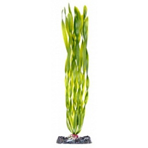 Растение пластиковое Валиснерия спиралелистная с утяжелителем 15,24 см